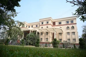 School of Innovation and Management-SOIM