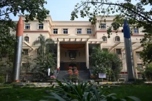 School of Innovation and Management-SOIM
