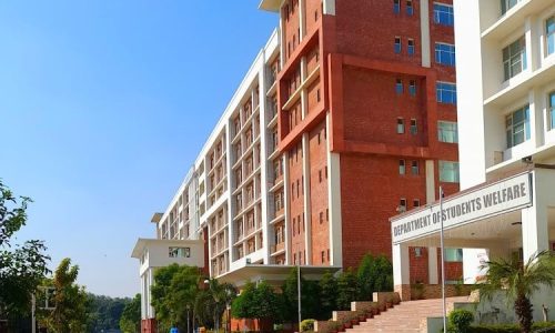 University School of Business, Chandigarh