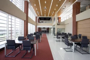 LM Thapar School of Management